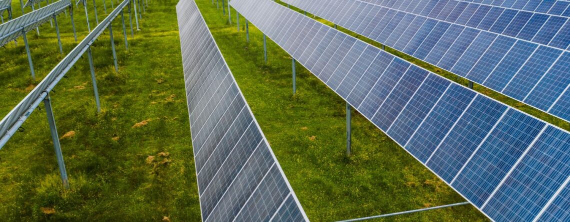 Sustainable Lifestyle Journey