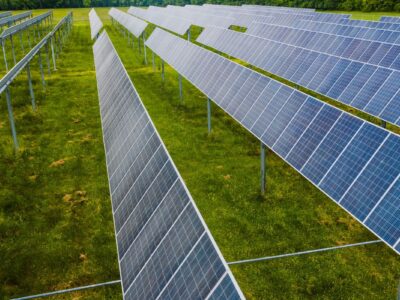 Sustainable Lifestyle Journey