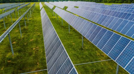 Sustainable Lifestyle Journey