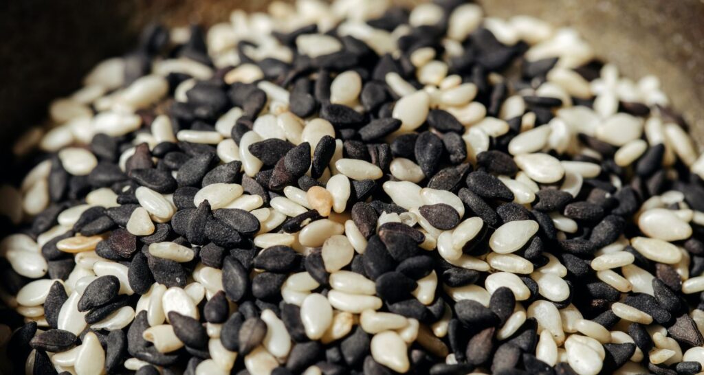 Modern Plant-Based Diets