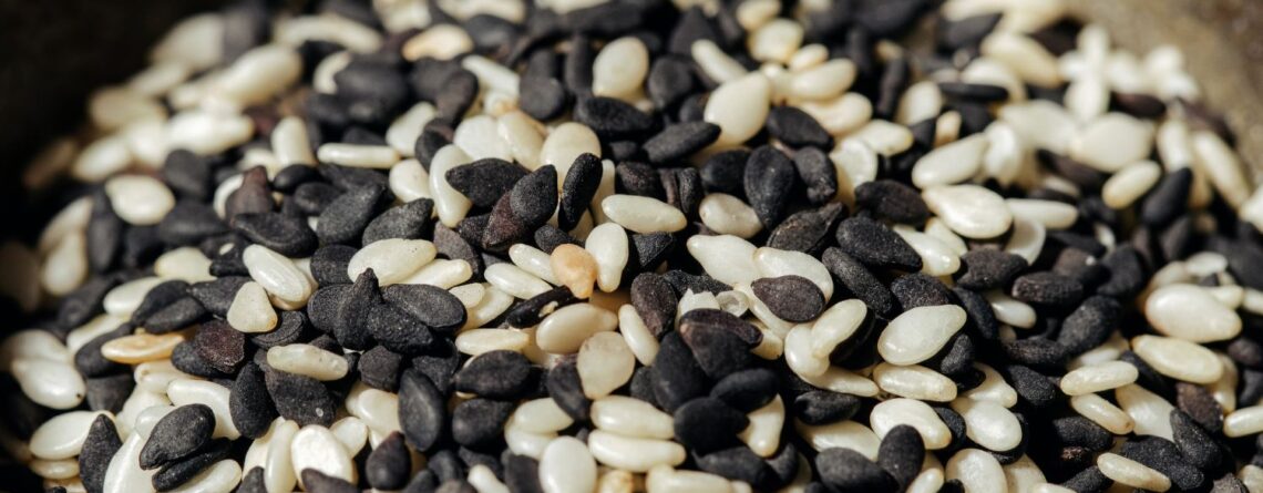 Modern Plant-Based Diets