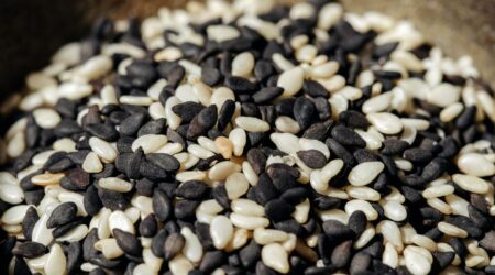 Modern Plant-Based Diets